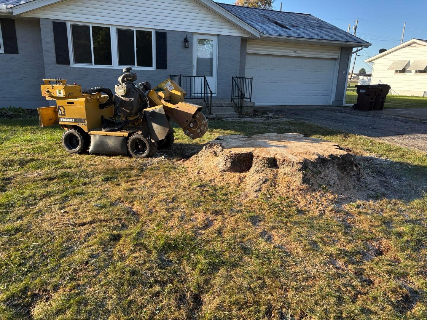 Large freshly-cut stump alongside Worley's Rayco stump grinder ready for removal