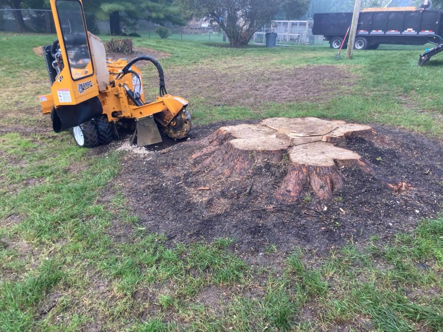 Worley's Bandit stump grinder on site next to a large tree stump ready for grinding
