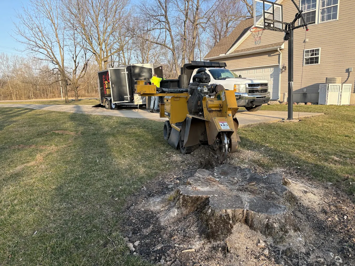 Worley's Stump Grinding crew grinding a residential stump with the company trailer and truck on site
