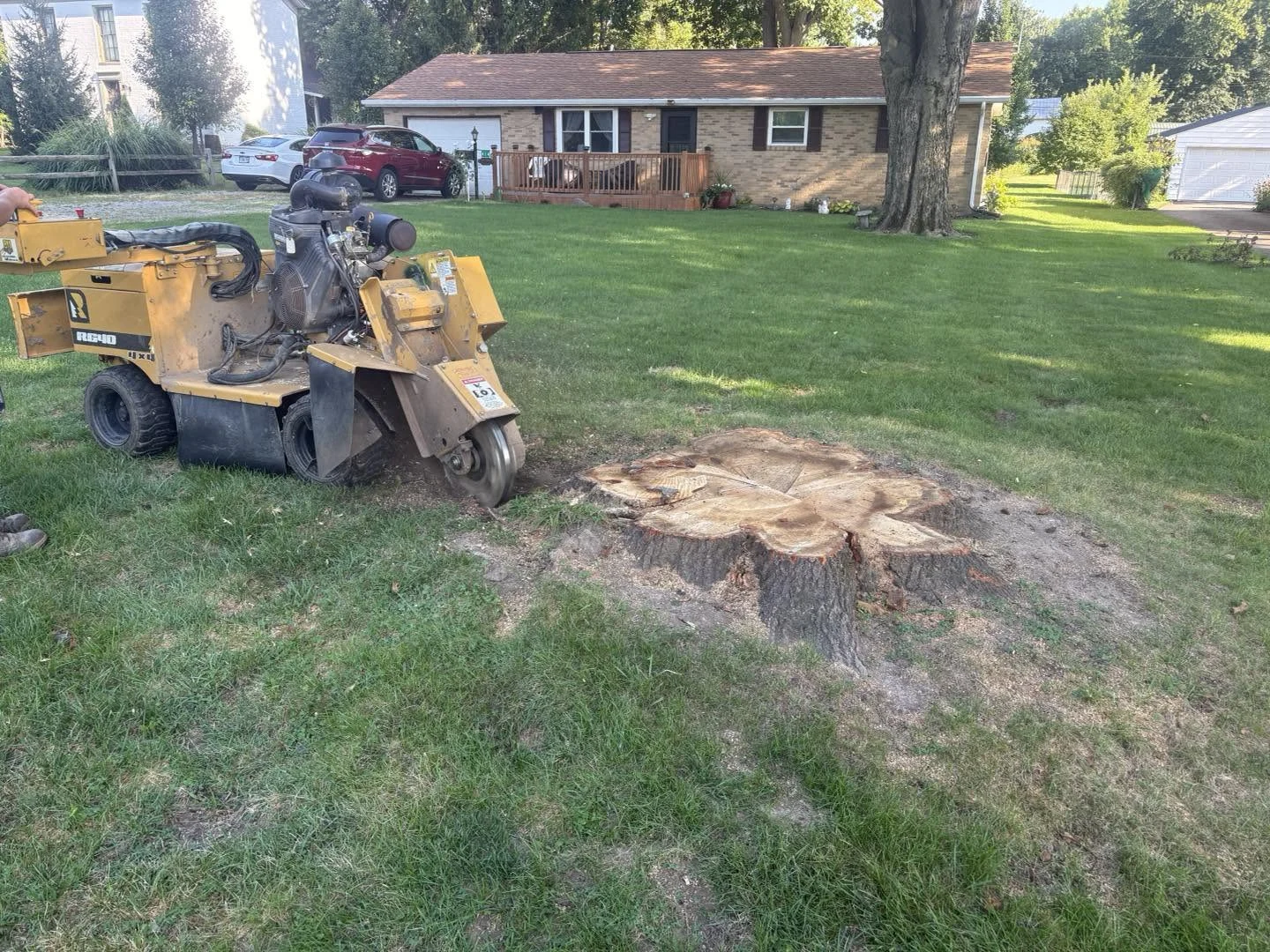 Large tree stump in a residential lawn with Worley's stump grinder beside it before grinding