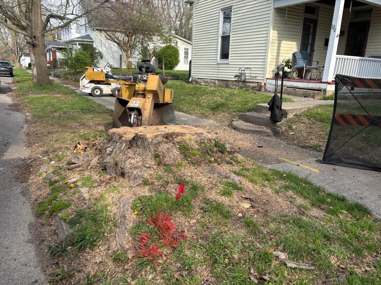 Mini skid-steer clearing a front-yard bed area down to bare soil after bush and root removal